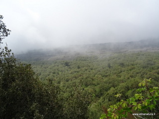Monte Fontane